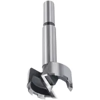 Wolfcraft 3315000 Forstnerboor 20 mm Gezamenlijke lengte 90 mm Cilinderschacht 1 stuk(s)