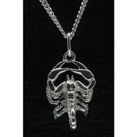 MOOYE ® - Collectie Zilveren Sterrenbeeld Schorpioen ketting hanger - groot