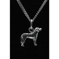MOOYE ® - Collectie Zilveren Zwitserse sennenhond ketting hanger - klein