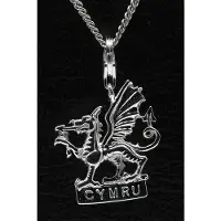 MOOYE ® - Collectie Zilveren Cymru Wales hanger n bedel