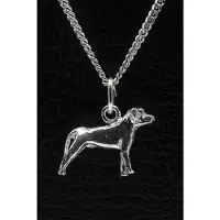 MOOYE ® - Collectie Zilveren Ca canario oren ongecoupeerd ketting hanger - klein