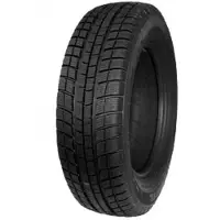 Profil Winter Maxx ( 225/45 R17 91H, cover ) | Winterbanden