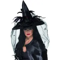 Smiffys Witch Hat, Feathers & Netting, Black