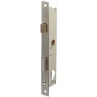 Nemef 9690 Haakschootslot | DM30mm | voorplaat RVS 24x245mm rechthoekig | staal verzinkte zwenkschoot | zonder geleidepen | DR 1+2+3+4 - 9969207100