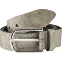 Vanzetti Riem taupe