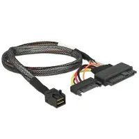 DeLOCK SFF-8643 naar U.2 poort, Interne kabel (PC)
