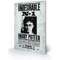 Merchandising Harry Potter Undesirable No1 Wood Print