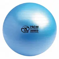 Mad MADFitness - Balansbal - PVC - max 300 kg belastbaar- Diameter 75 cm- Blauw