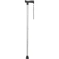 Vitility wandelstok antraciet