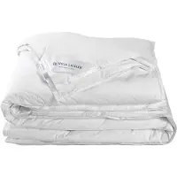 De Witte Lietaer 4 Seizoenen Dekbed Ducky Eendendons-260 x 240 cm