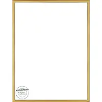 Homedecoration Almelo – Fotolijst – Fotomaat – 69 x 97 cm – Vintage Goud