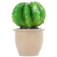 Egmont toys Lamp Cactus In Bloempot