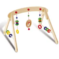 Pinolino Houten Babygym Jane