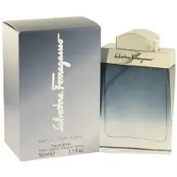 Salvatore Ferragamo Subtil Homme Eau de Toilette 50 ml