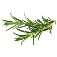 Click and Grow - Smart Garden Refill 3-pack - Rosemary (SGR51X3)