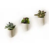 Övriga varumärken Magnetische Plantenpotjes (set van 3)