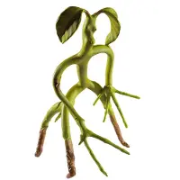 Noble Collection Fantastic Beasts: buigbare Bowtruckle