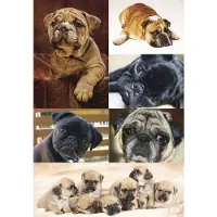 Herma 3372 Stickers DECOR Hond