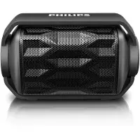 Philips - draadloze draagbare luidspreker - BT2200B/00