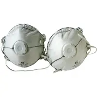 Skandia Stofmasker P2 Carbon 2St