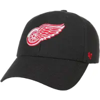 47 Detroit Wings Pet