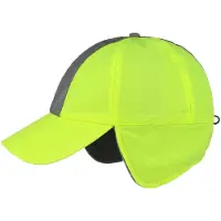 Lipodo Reflecterende Pet met Oorbescherming by