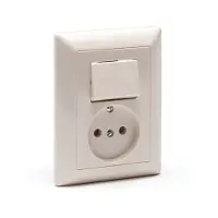 JUNG combi wisselschak+wcd as5546eu inb