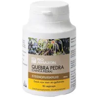 Rio Amazon Rio quebra pedra steengruiskruid 90 vcaps