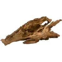 Aqua d'ella Jati hout Medium