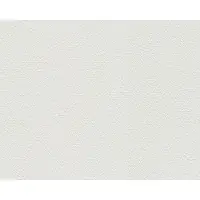 AS-Creation Vliesbehang 1035-12 Meistervlies 2020 pleisteroptiek wit 10,05x0,53 m