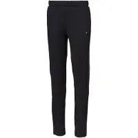 Puma Sportbroek 'Evostripe'