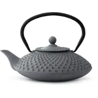 Bredemeijer Asia Jing theepot 1,25 liter gietijzer blauw