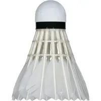 Yonex Aeroclub TR 12 pcs.