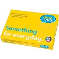 Datacopy Kopieerpapier A4 80gr wit 500 vel - 2 stuks