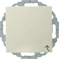 Berker S.1 Enkel Geaard Stopcontact met Afdekplaat Cr?me