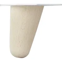 Duraline Meubelpoot Deens Hout 10cm Beuken Fsc