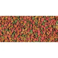 Versele-Laga P19 Tropical Kweek - Vogelvoer - 10 kg