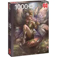 Jumbo Betoverende Fee 1000st