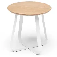 Puik Shunan Bijzettafel