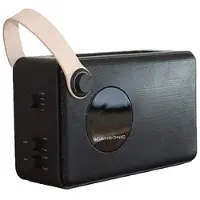 Scansonic PA4600 Portable DAB+/FM Radio met Bluetooth - Zwart