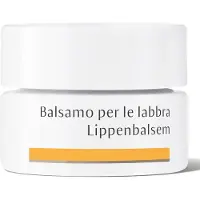 Dr. Hauschka Lippenbalsem | 4,5 ml
