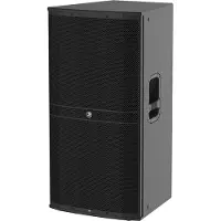 Mackie DRM 315 (UNIT)