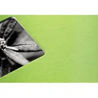 Hama Fine Art spiraal kiwi 36x32 50 witte pagina's 2116