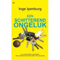 The House of Books Een schitterend ongeluk (Paperback)