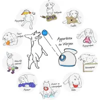 All For Paws AFP Outdoor Retractable - Ball Trower