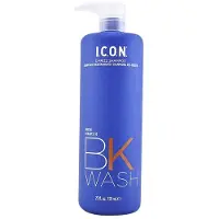 I.C.O.N. Anti Frizz Shampoo