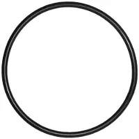 Mega Pool O-Ring voor Deksel SB zwembadpomp