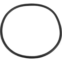 Pentair O-ring voor filterdeksel 1,5" Tagelus zandfilter