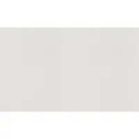 Rasch Vliesbehang 161410 Wallton uni wit 25x1,06 m