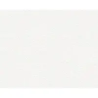AS-Creation Vliesbehang 2487-18 Meistervlies 2020 pleisteroptiek wit 10,05x0,53 m